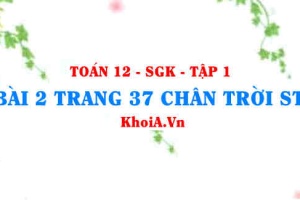Bài 2 trang 37 Toán 12 Tập 1 Chân trời sáng tạo